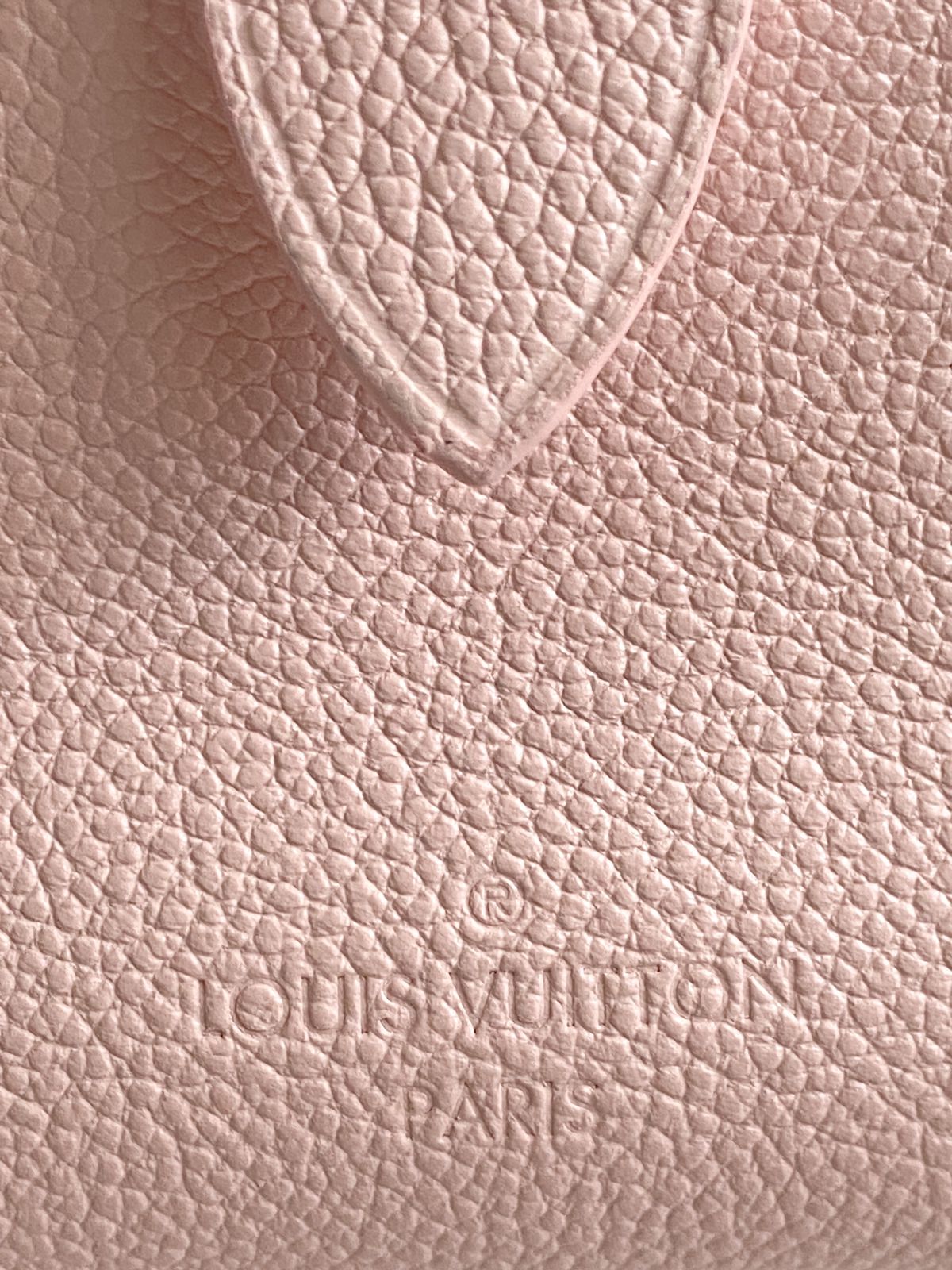 Bolsa Louis Vuitton Speedy Bandoulière 20 - LUXO INTELIGENTE