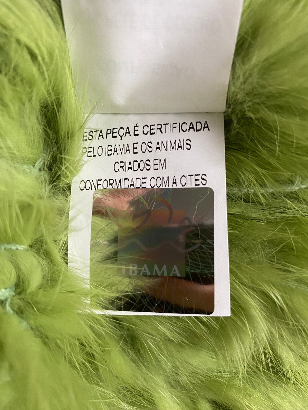 Casaco Madre Reina - Verde Esmeralda