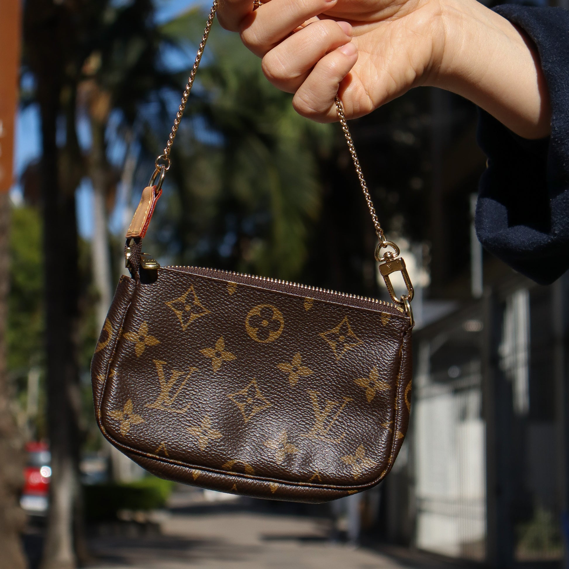 Bolsa Louis Vuitton Pochette Accessoires Mini