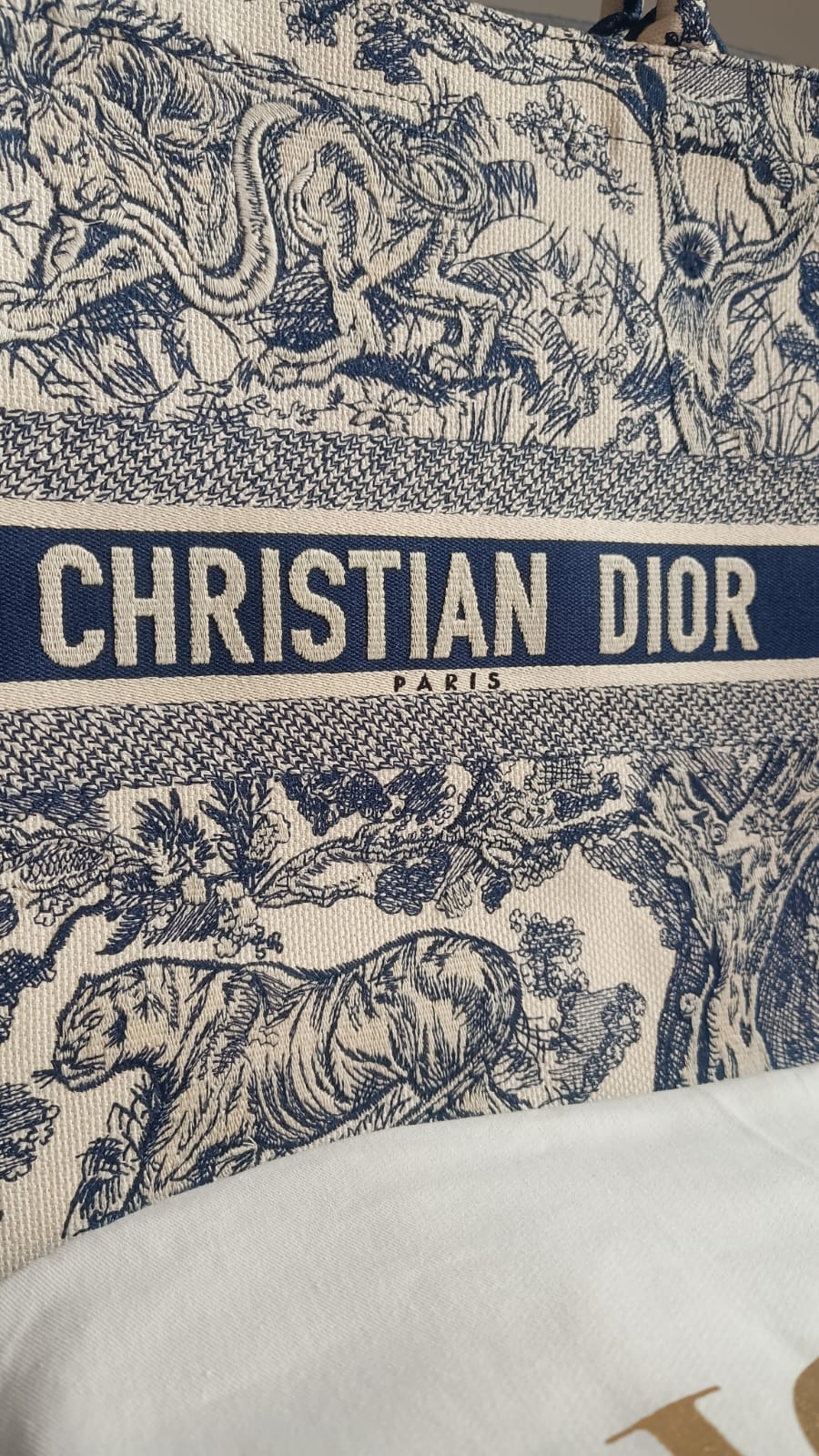 Bolsa Dior Book Tote Toile de Jouy Large