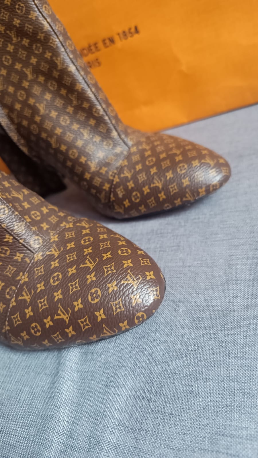 Ankle Boot Louis Vuitton Silhouette Monogram