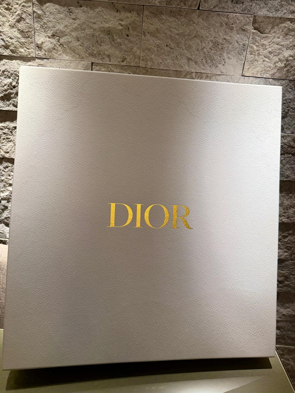 Bolsa Dior Book Tote Large