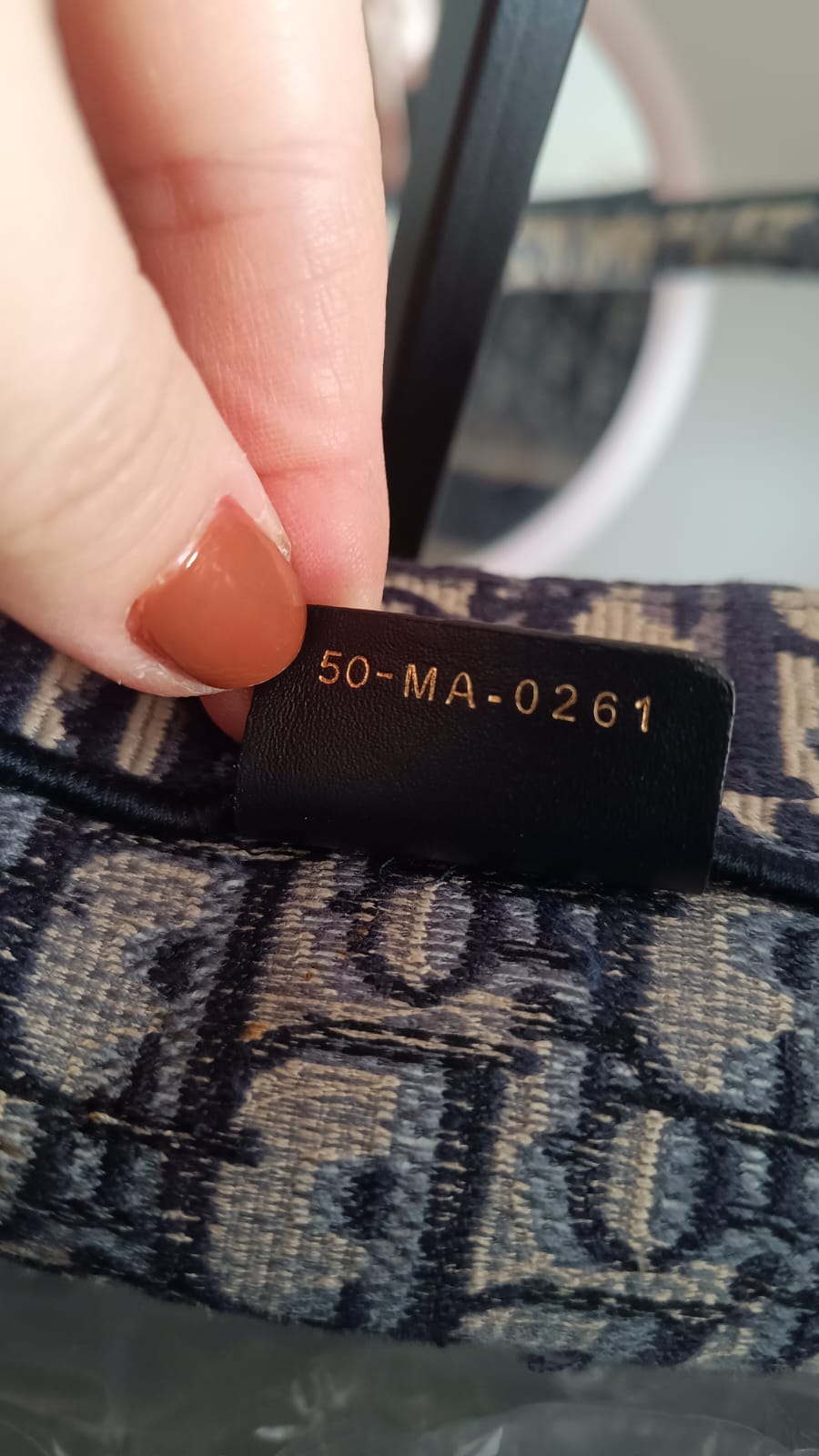 Bolsa Dior Book Tote Large